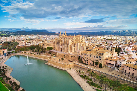 Palma de Mallorca em 1 dia: Excursão a pé com guia digital€ 9,95 - Ingresso individual