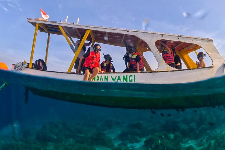 Gili Trawangan: Public Snorkeling Tour with Turtles and BBQ Public Snorkeling Tour with Turtles