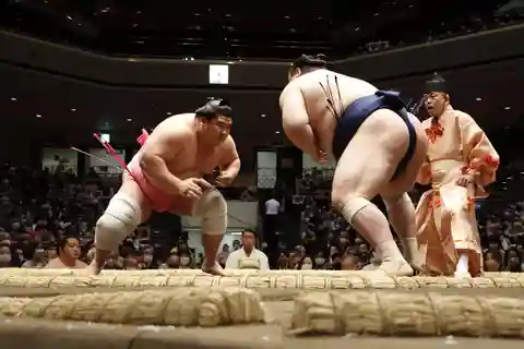 Tokyo: Büyük Sumo Turnuvası İzleme (Mayıs, 2025)