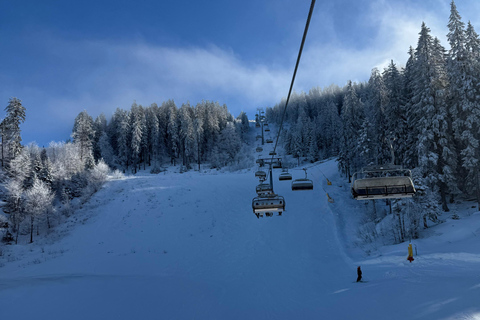 Desde Bucarest: Excursión de un día para esquiar en Poiana Brasov
