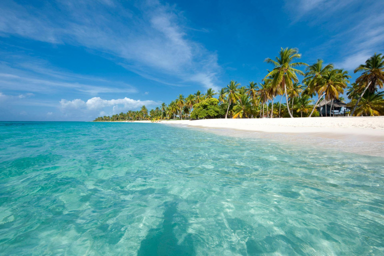 Saona Island: Private Experience from Punta Cana and Bayahibe in a Sprinter