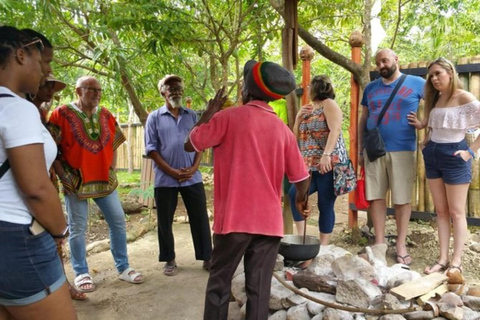 Visita guiada por Montego Bay