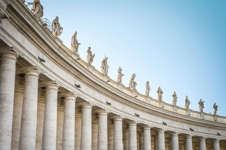 Roma: Tour guidato della Basilica di San Pietro e delle Tombe di Papel