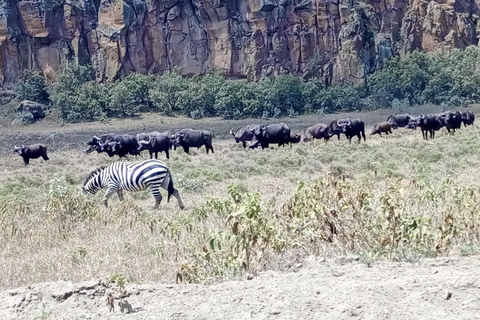 Excursion d'une journée dans le parc national de Hells Gate et promenade en bateau sur le lac Naivasha