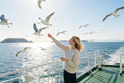 Osaka: Amanohashidate, Ine Cruise & Miyama Village From Osaka (Basic Package)