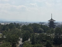 Tour guidato privato di mezza giornata ai Templi di Nara - Hizvo