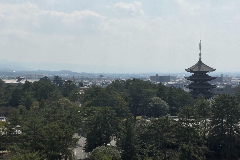 Halve dag privé tour met gids naar Nara tempels