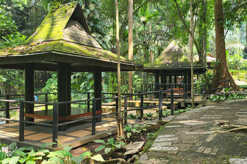 Hidden Valley Springs | Lunch | Taal Volcano Viewing (2in1)