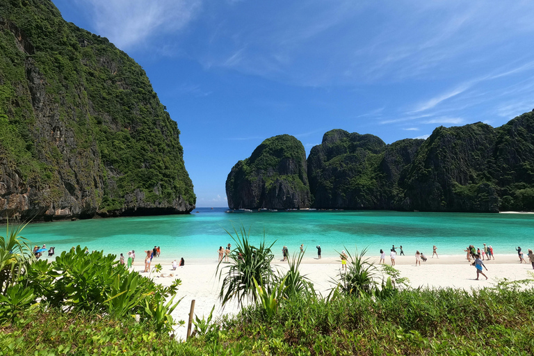 Phi Phi: Maya Bay Mezza giornata in barca a coda lunga con snorkeling