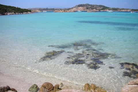 From Palau: La Maddalena Archipelago Full-Day Boat Tour