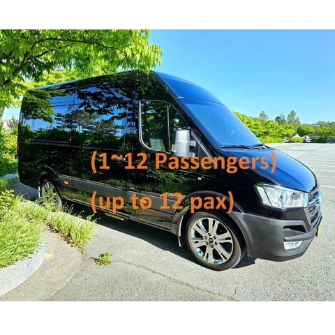 Private transfer from Seoul hotel to Seoul Station and so on