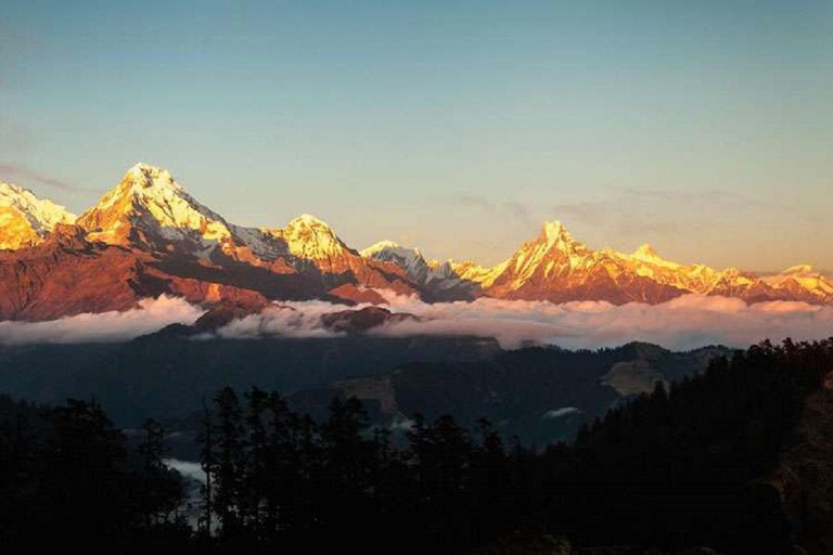 Himalayan Adventure: 9-Day Scenic ABC Trek From Pokhara Private Trek Tour without Meals.