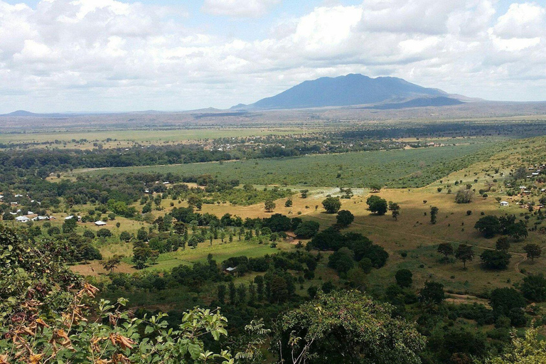 Lushoto: Soni Falls and Usambara Mountains Day Trip