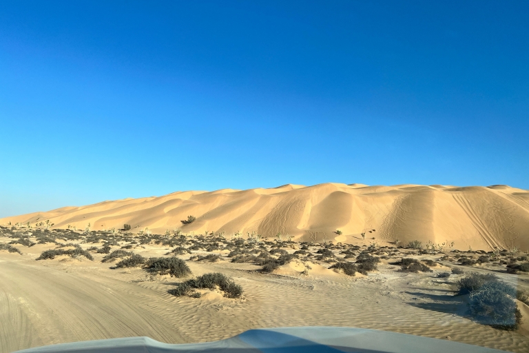 Depuis Salalah : Safari dans le désert dans le quartier vide - Rub Al KhaliVisite privée : Safari dans le désert Coucher de soleil dans le quartier vide