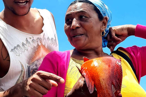 From Praia: Santiago Highlights Private Sightseeing Day Trip