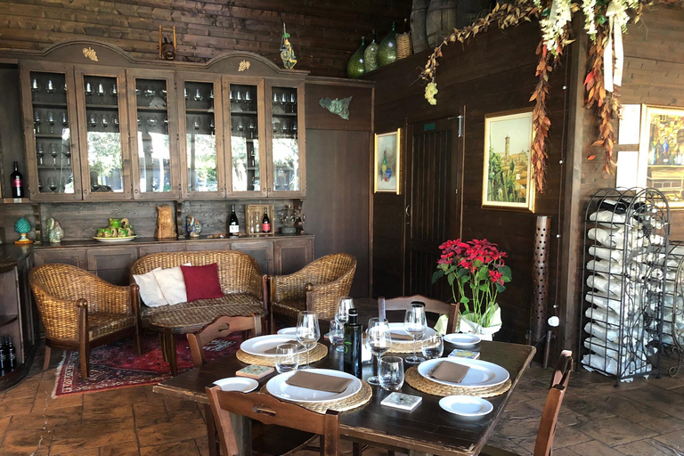 Etna Quad & Wine Combo Private Tour 1 Quad Per Person