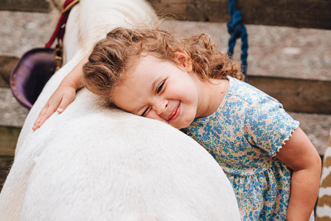 Avon Valley Adventure Park Lambing Live Entry Ticket