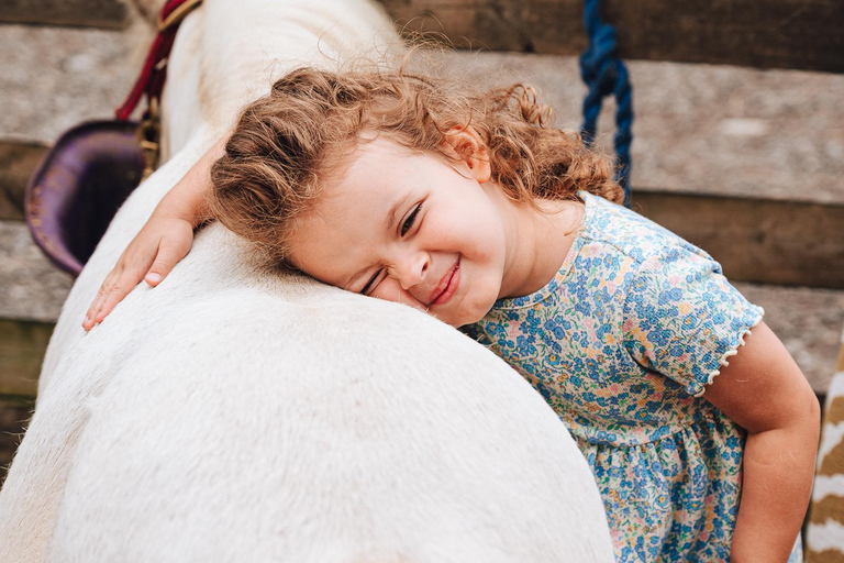 Avon Valley Adventure Park Lambing Live Entry Ticket