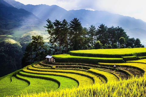 From Hanoi: Visit Sapa 3 Days & See The Terraced Fields Group Tour With A 4-Star Hotel