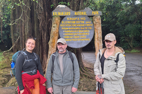 Moshi: Dagsutflykt med Kilimanjaro-vandring och besök i Maundi-kratern