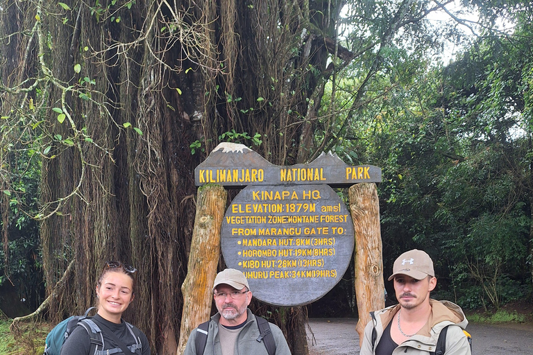 Moshi: Dagsutflykt med Kilimanjaro-vandring och besök i Maundi-kratern