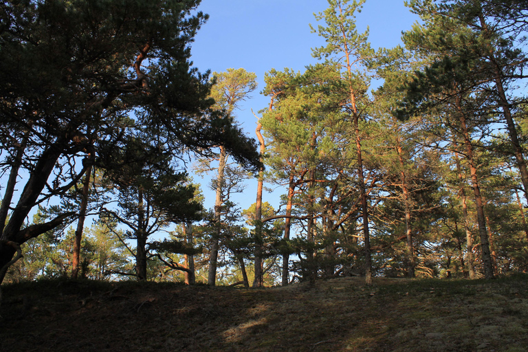 Desde Riga: ¡Excursión de un día a Kolka al estilo Zen!