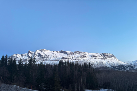 Narvik/Harstad : Excursion d&#039;une journée dans les Fjords avec arrêt à la ferme des rennes