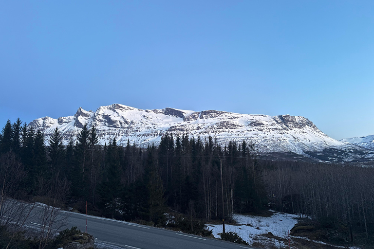 Narvik/Harstad : Excursion d&#039;une journée dans les Fjords avec arrêt à la ferme des rennes