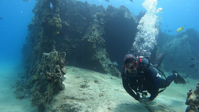 Oahu: Versuch das Tauchen von der Küste aus