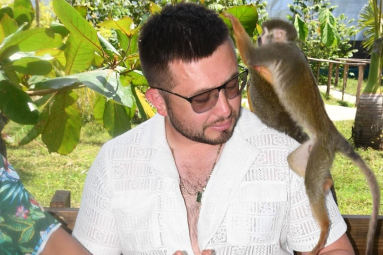 普拉塔港：从泰诺湾/安伯湾出发的猴子之旅和城市之旅普拉塔港：塔伊诺湾/安伯湾的猴子之旅和城市之旅