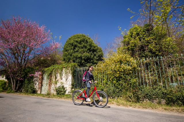 Monet&#039;s Garden Bike Tour from Paris