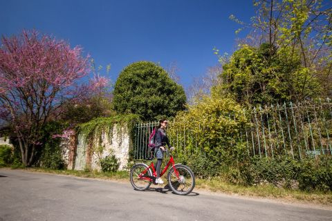 Tour en bici por el Jardín de Monet, desde París