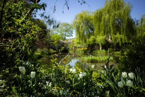 Monet&#039;s Garden Bike Tour from Paris