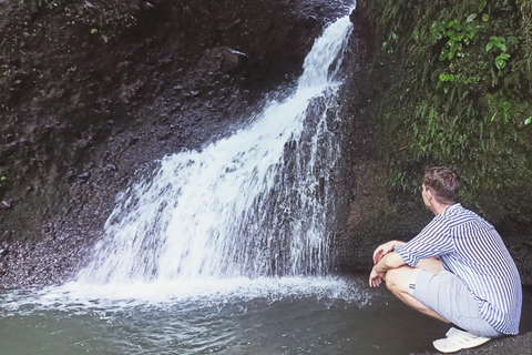 特特巴图：瀑布、香料、梯田、猴子森林特特巴图之旅、香料、瀑布、梯田、猴林