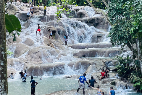 Montego Bay: Tour privado de Bob Marley y las cataratas del río Dunn