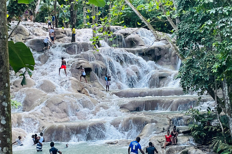 Montego Bay : Visite privée de Bob Marley et des chutes de Dunn's River