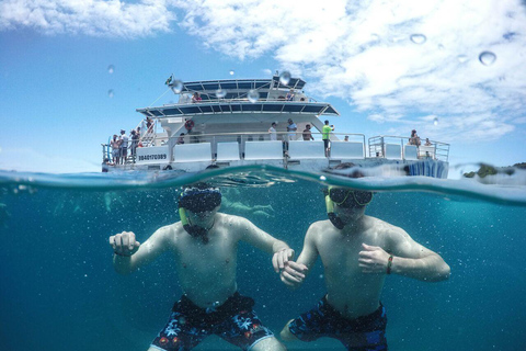 Da Rio: Tour di un giorno a Búzios con tour in catamarano e pranzo