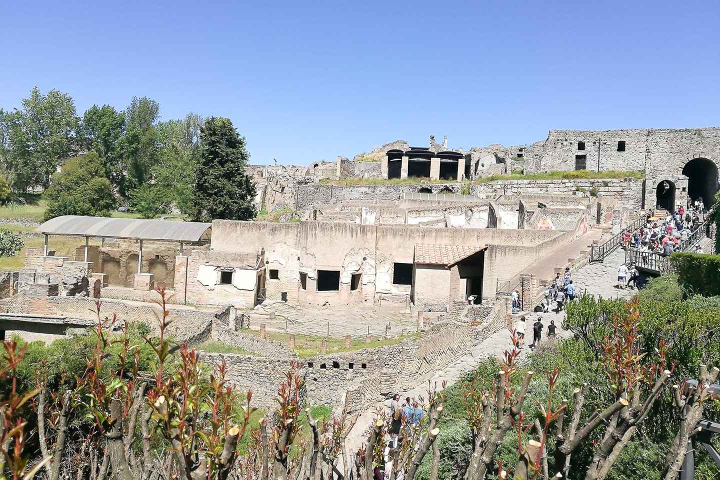 From Sorrento: Pompeii and Vesuvius Tour