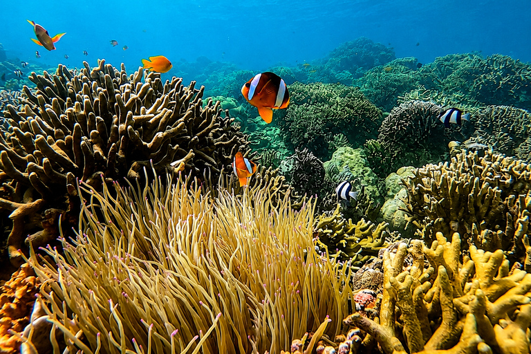 Cebu: 2-Day Camping, Kawasan & Moalboal Adventure