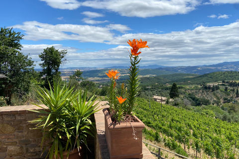 Odkryj małe organiczne i biodynamiczne winnice Brunello