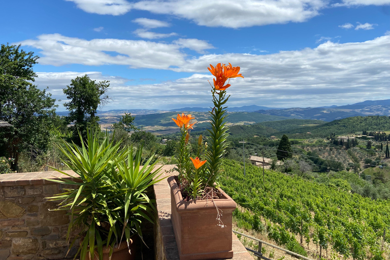 Odkryj małe organiczne i biodynamiczne winnice Brunello