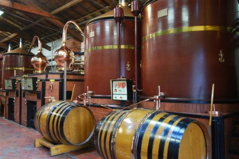 Private Tour: Craft Distilleries in Cognac Vineyards