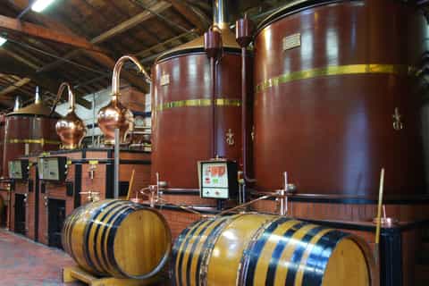 Distillerie artigianali nei vigneti di Cognac: tour privato
