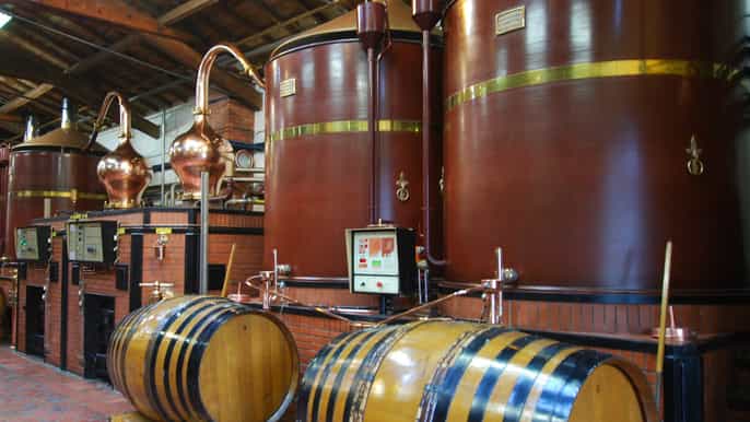 private tour craft distilleries in cognac vineyards