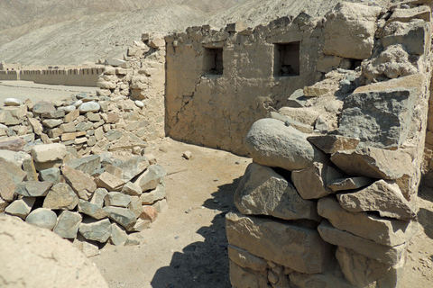 From Paracas: Tambo Colorado Inca Complex Tour