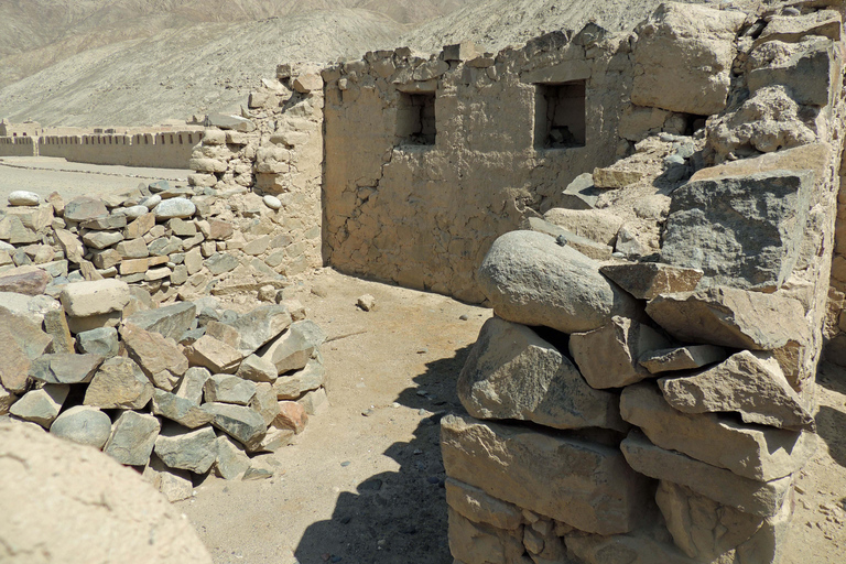 From Paracas: Tambo Colorado Inca Complex Tour