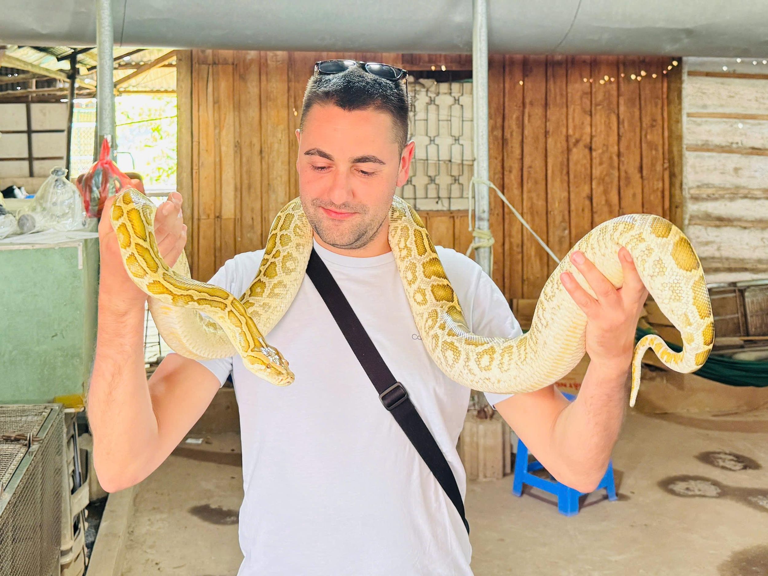 Ho-Chi-Minh-Stadt: Mekong-Delta-Tour mit Mittagessen & Bootsfahrt