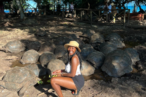 Ciudad de piedra y prisión Isla