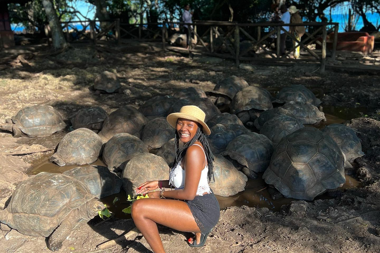 Ciudad de piedra y prisión Isla