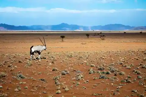Parque Namib-Naukluft: Transporte y visita al parque Naukluft